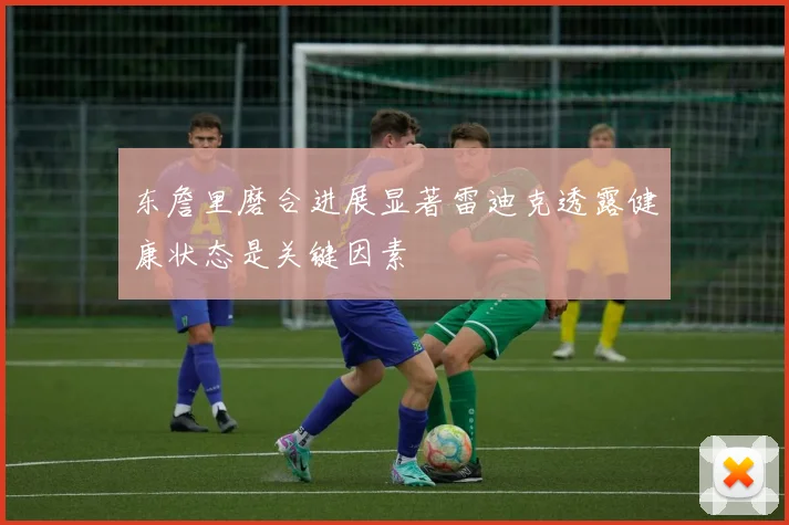 东詹里磨合进展显著雷迪克透露健康状态是关键因素