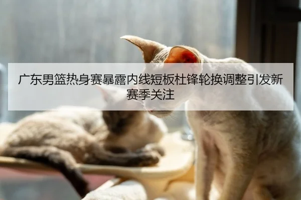 广东男篮热身赛暴露内线短板杜锋轮换调整引发新赛季关注